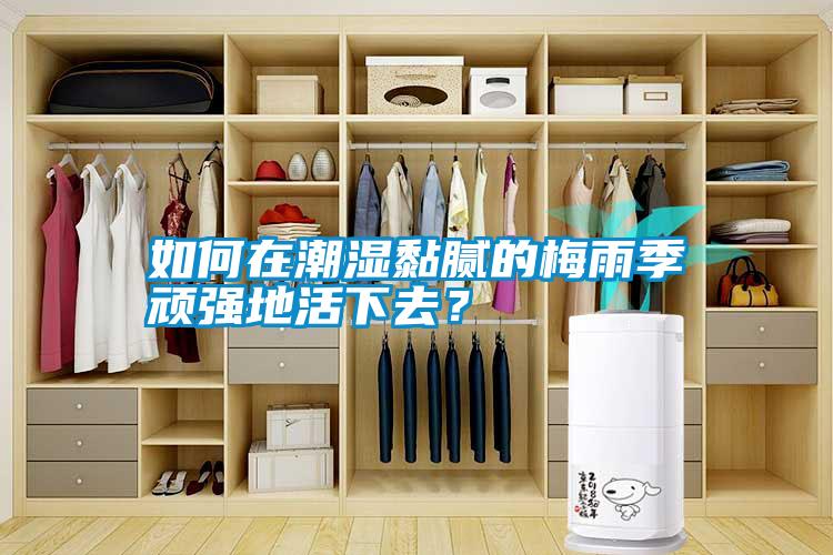 如何在潮濕黏膩的梅雨季頑強(qiáng)地活下去？