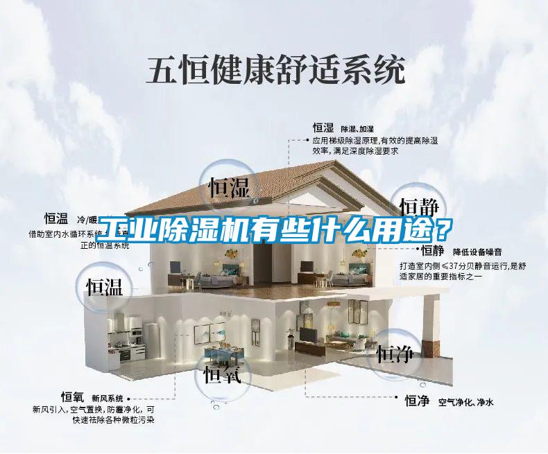 工業(yè)除濕機有些什么用途？