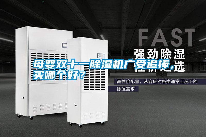 母嬰雙十一除濕機(jī)廣受追捧，買哪個好？