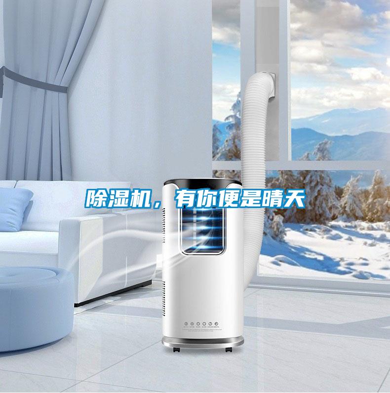 除濕機，有你便是晴天