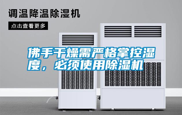 佛手干燥需嚴(yán)格掌控濕度，必須使用除濕機(jī)