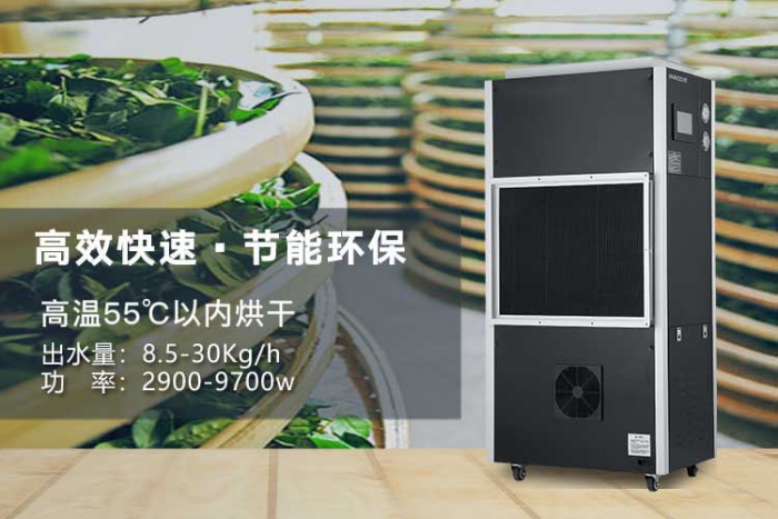 總是感覺很濕冷、冬季很怕冷？可能是這三種原因！