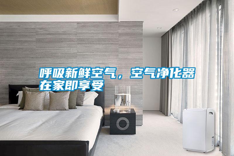 呼吸新鮮空氣，空氣凈化器在家即享受