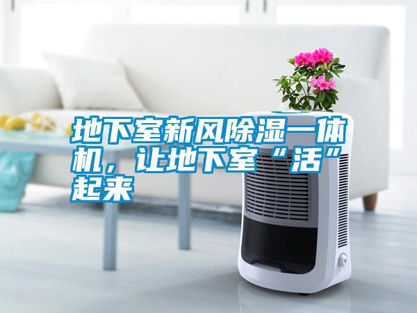 地下室新風(fēng)除濕一體機，讓地下室“活”起來