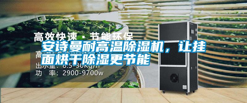 安詩(shī)曼耐高溫除濕機(jī)，讓掛面烘干除濕更節(jié)能