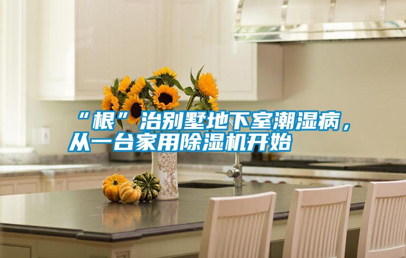 “根”治別墅地下室潮濕病，從一臺家用除濕機開始