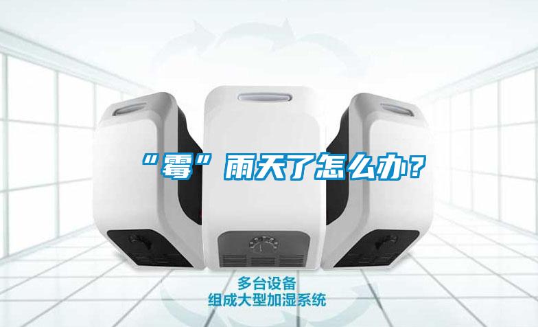 “霉”雨天了怎么辦？