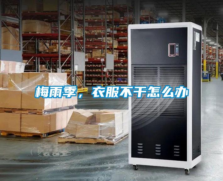 梅雨季，衣服不干怎么辦