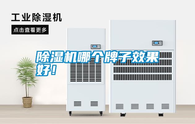 除濕機(jī)哪個(gè)牌子效果好！