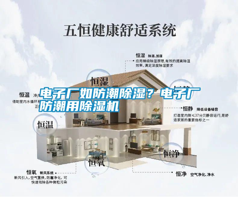 電子廠如防潮除濕？電子廠防潮用除濕機(jī)