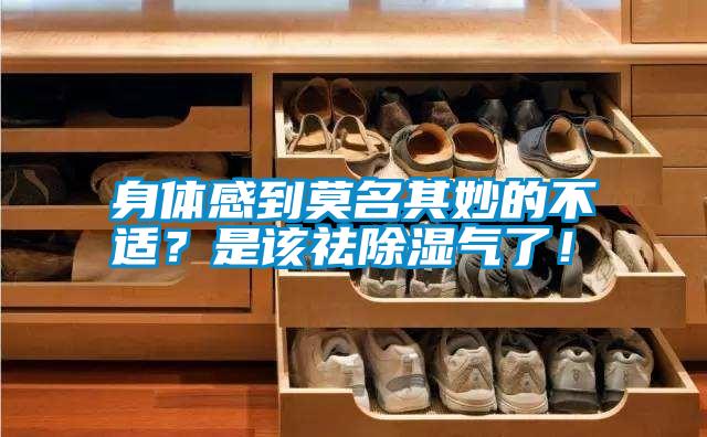 身體感到莫名其妙的不適？是該祛除濕氣了！