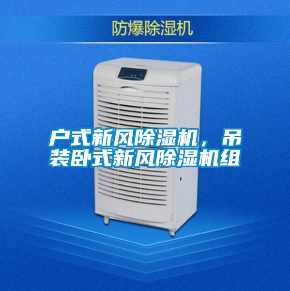 戶式新風(fēng)除濕機(jī)，吊裝臥式新風(fēng)除濕機(jī)組
