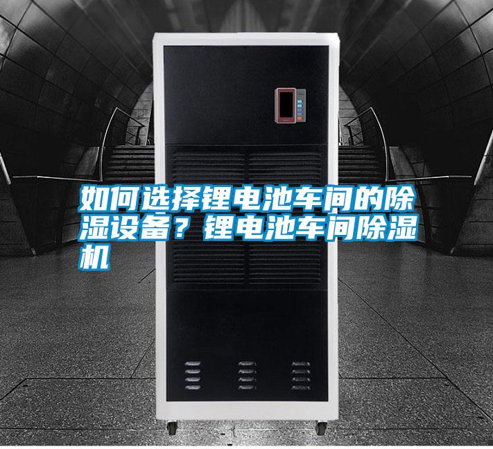 如何選擇鋰電池車間的除濕設(shè)備？鋰電池車間除濕機(jī)