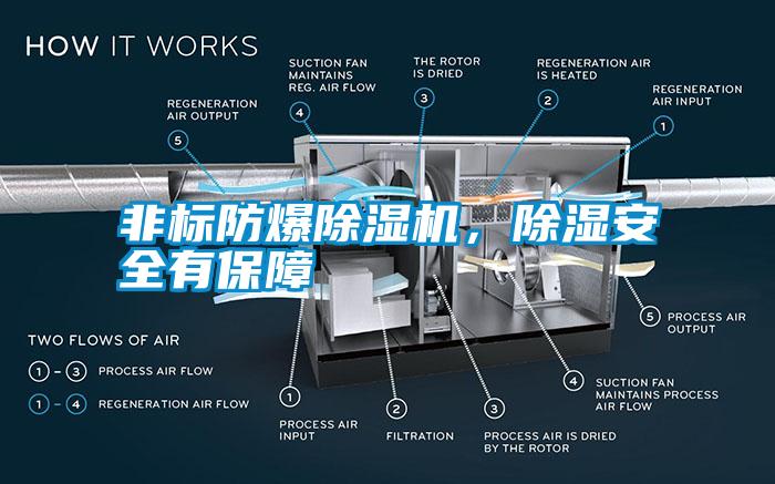 非標防爆除濕機，除濕安全有保障