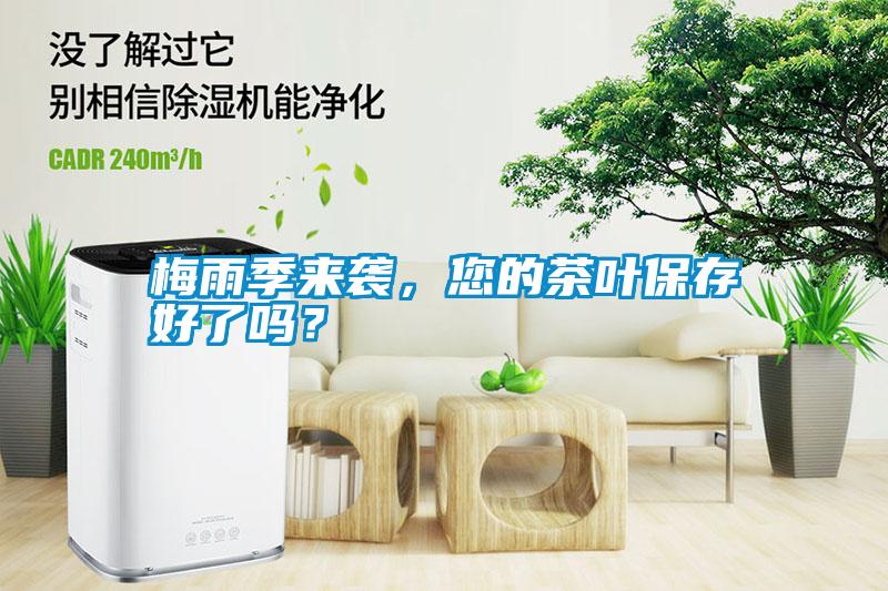 梅雨季來襲，您的茶葉保存好了嗎？