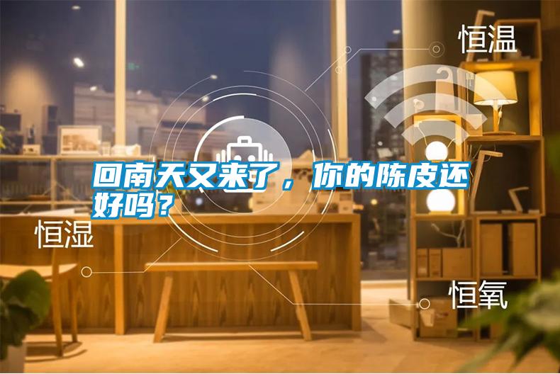 回南天又來(lái)了，你的陳皮還好嗎？