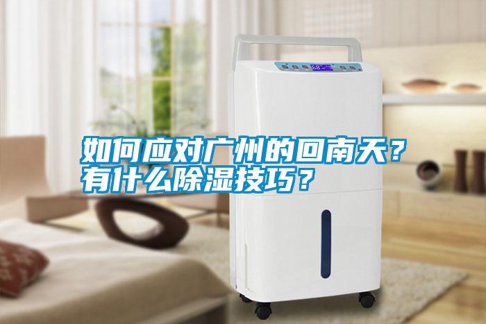 如何應(yīng)對廣州的回南天？有什么除濕技巧？