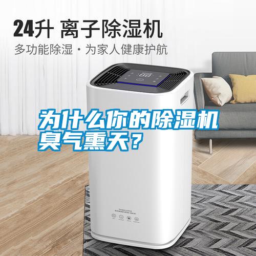 為什么你的除濕機(jī)臭氣熏天？