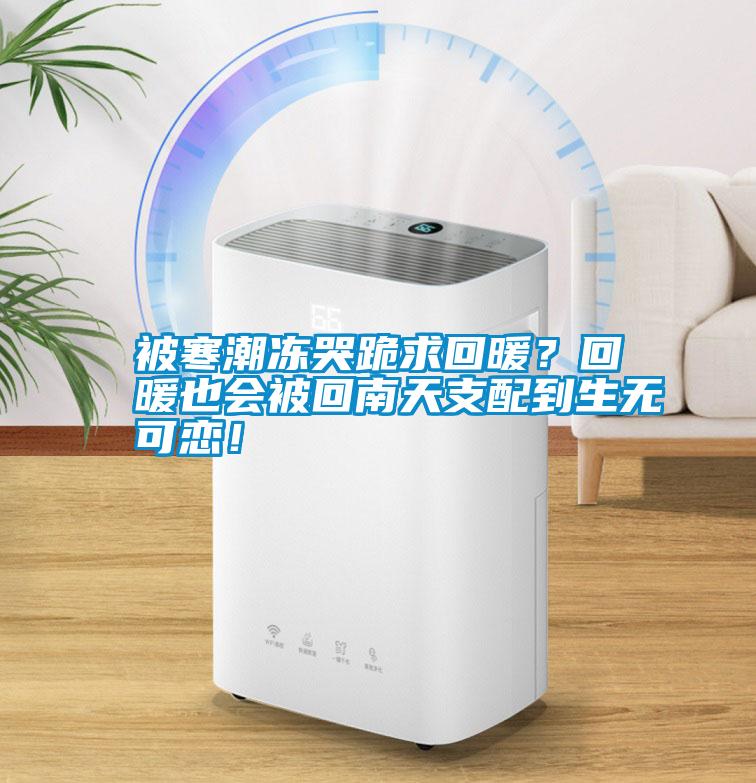 被寒潮凍哭跪求回暖？回暖也會(huì)被回南天支配到生無(wú)可戀！