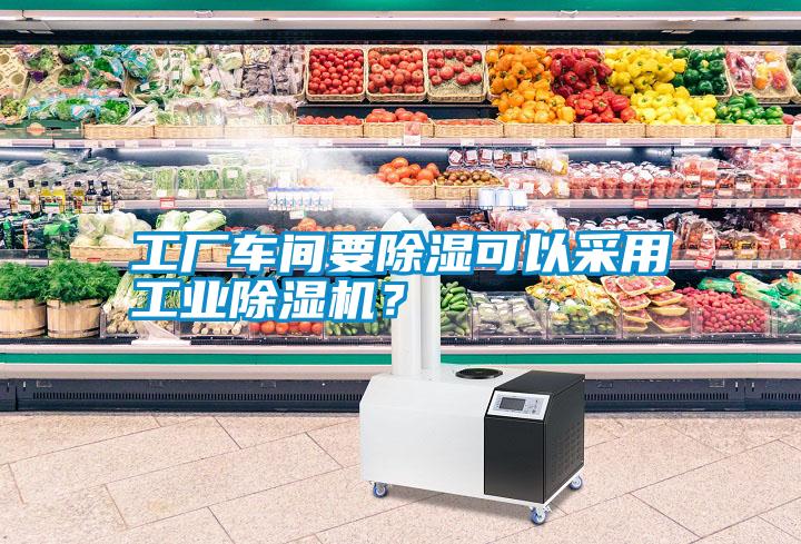 工廠車間要除濕可以采用工業(yè)除濕機(jī)？