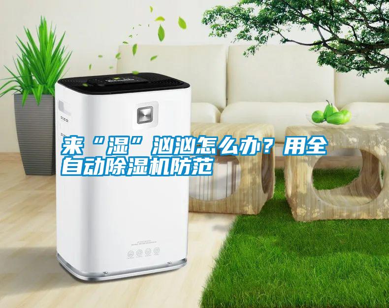 來(lái)“濕”洶洶怎么辦？用全自動(dòng)除濕機(jī)防范