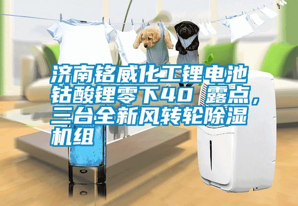 濟(jì)南銘威化工鋰電池鈷酸鋰零下40℃露點，三臺全新風(fēng)轉(zhuǎn)輪除濕機(jī)組