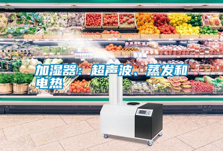 加濕器：超聲波、蒸發(fā)和電熱