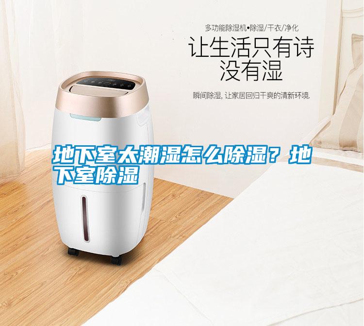 地下室太潮濕怎么除濕？地下室除濕