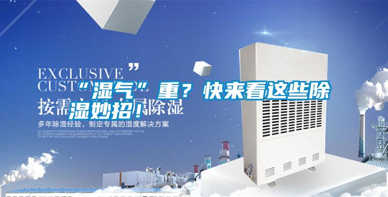 “濕氣”重？快來看這些除濕妙招！