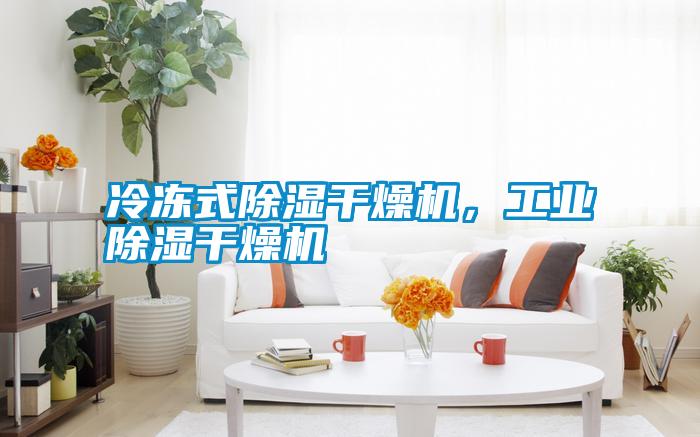 冷凍式除濕干燥機(jī)，工業(yè)除濕干燥機(jī)