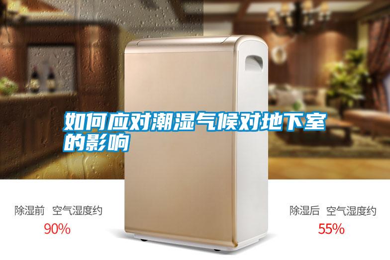 如何應對潮濕氣候?qū)Φ叵率业挠绊?/></p>
						    <p style=