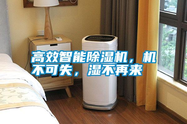高效智能除濕機(jī)，機(jī)不可失，濕不再來(lái)