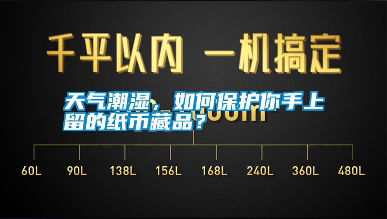 天氣潮濕，如何保護(hù)你手上留的紙幣藏品？