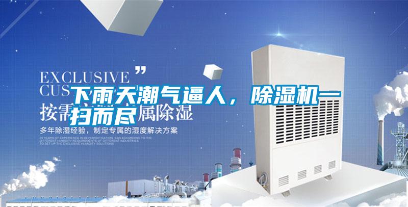 下雨天潮氣逼人，除濕機(jī)一掃而盡
