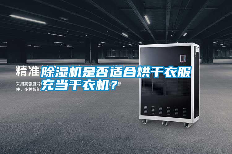 除濕機(jī)是否適合烘干衣服充當(dāng)干衣機(jī)？