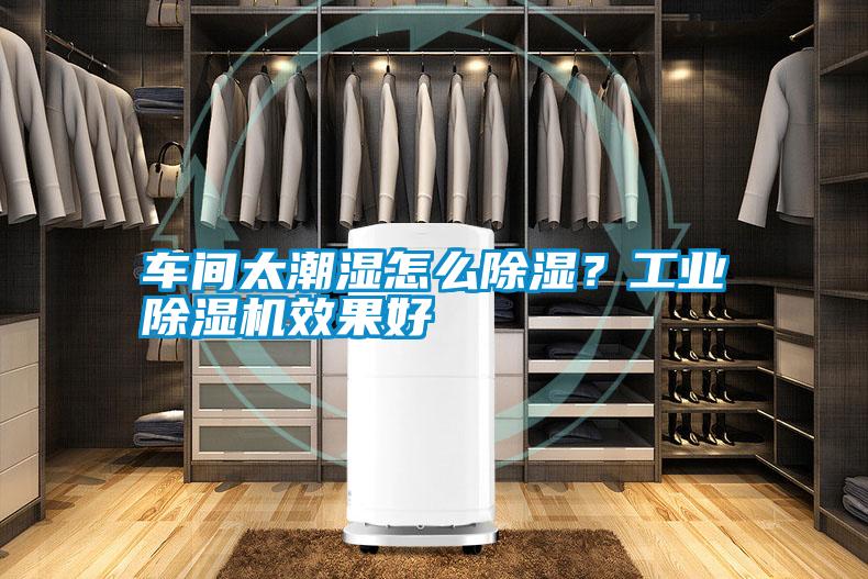 車間太潮濕怎么除濕？工業(yè)除濕機(jī)效果好