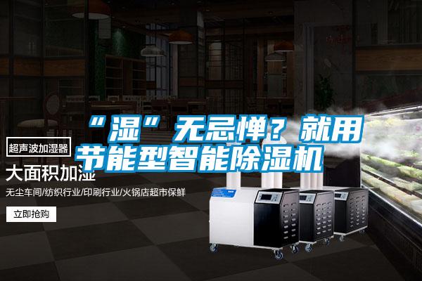 “濕”無忌憚？就用節(jié)能型智能除濕機(jī)