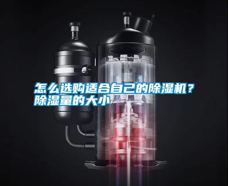 怎么選購適合自己的除濕機(jī)？除濕量的大小
