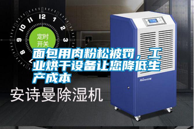 面包用肉粉松被罰，工業(yè)烘干設(shè)備讓您降低生產(chǎn)成本