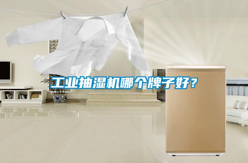 工業(yè)抽濕機(jī)哪個牌子好？