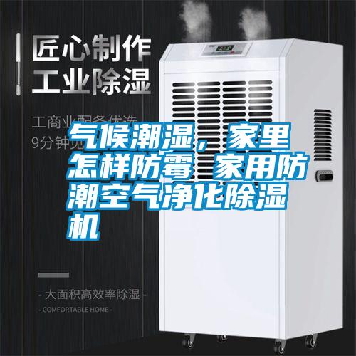 氣候潮濕，家里怎樣防霉 家用防潮空氣凈化除濕機