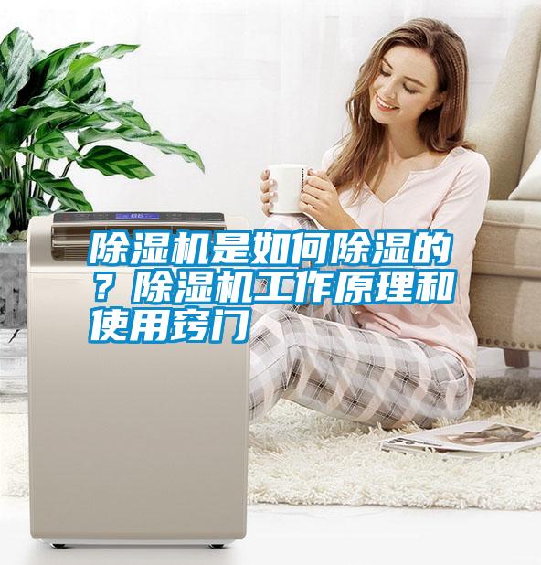 除濕機(jī)是如何除濕的？除濕機(jī)工作原理和使用竅門