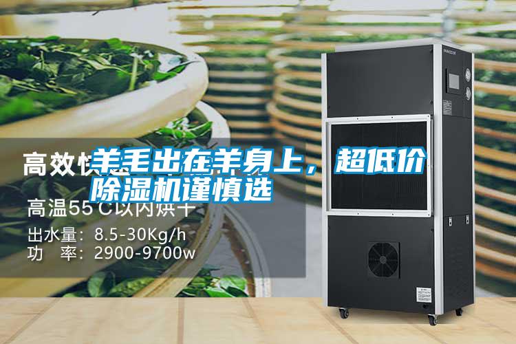 羊毛出在羊身上，超低價除濕機謹慎選