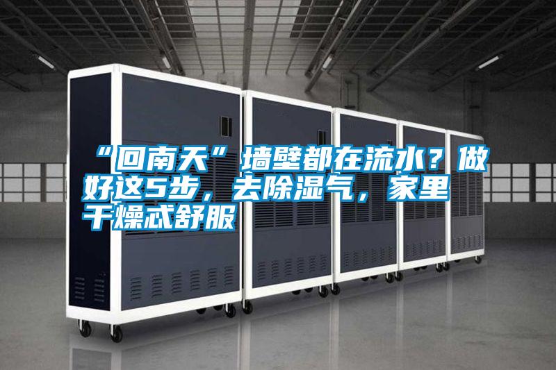 “回南天”墻壁都在流水？做好這5步，去除濕氣，家里干燥忒舒服