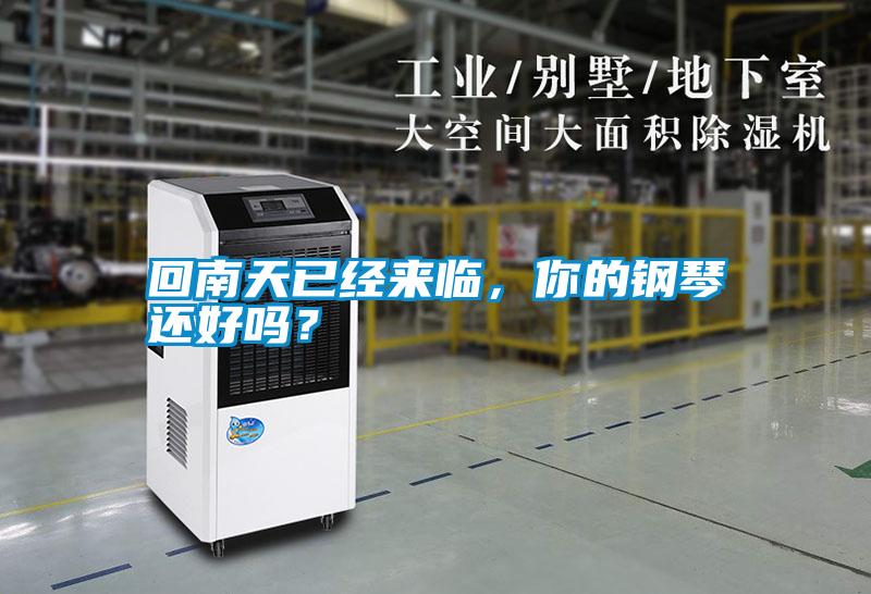回南天已經(jīng)來臨，你的鋼琴還好嗎？