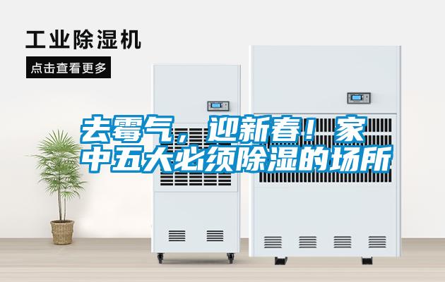 去霉氣，迎新春！家中五大必須除濕的場所