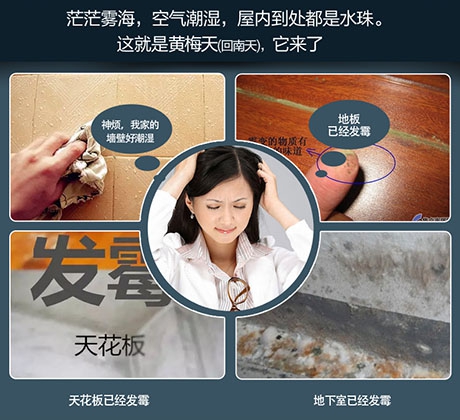梅雨季將至，除濕機(jī)了解一下！