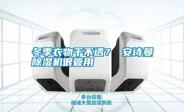 冬季衣物干不透？ 安詩曼除濕機(jī)很管用