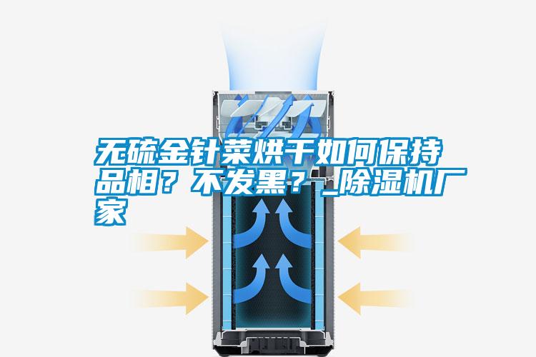 無硫金針菜烘干如何保持品相？不發(fā)黑？_除濕機廠家