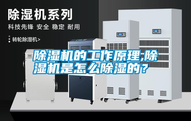 除濕機(jī)的工作原理,除濕機(jī)是怎么除濕的？